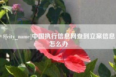 荆州中国执行信息网查到立案信息怎么办