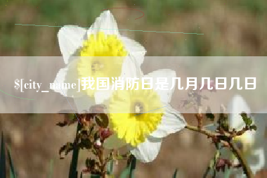 荆州我国消防日是几月几日几日