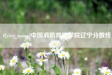 荆州中国消防救援学院辽宁分数线