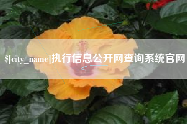 荆州执行信息公开网查询系统官网