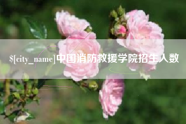 荆州中国消防救援学院招生人数
