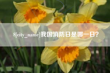 荆州我国消防日是哪一日？