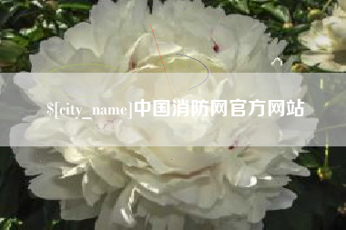 荆州中国消防网官方网站