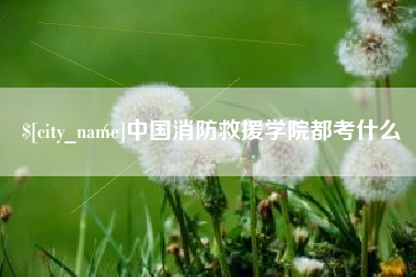 荆州中国消防救援学院都考什么