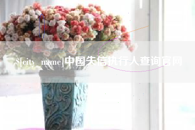荆州中国失信执行人查询官网