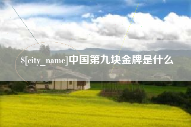 荆州中国第九块金牌是什么