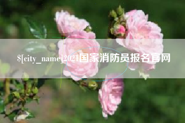 荆州2021国家消防员报名官网