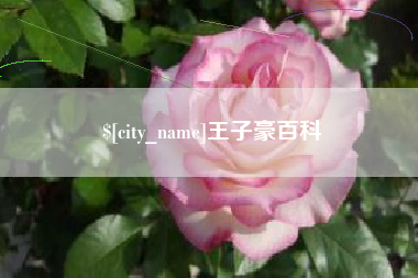 荆州王子豪百科