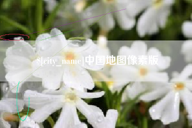 荆州中国地图像素版