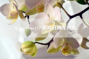 荆州119消防日哪年开始
