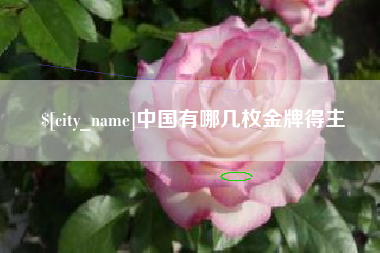 荆州中国有哪几枚金牌得主