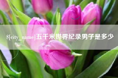 荆州五千米世界纪录男子是多少