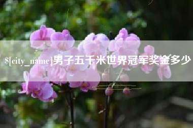 荆州男子五千米世界冠军奖金多少