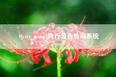 荆州执行公告查询系统