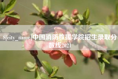 荆州中国消防救援学院招生录取分数线2021