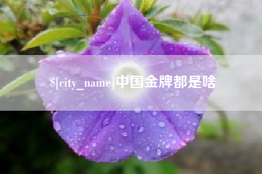荆州中国金牌都是啥