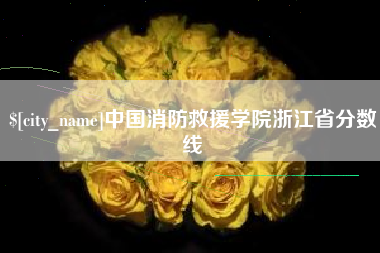 荆州中国消防救援学院浙江省分数线