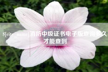 荆州消防中级证书电子版查询多久才能查到