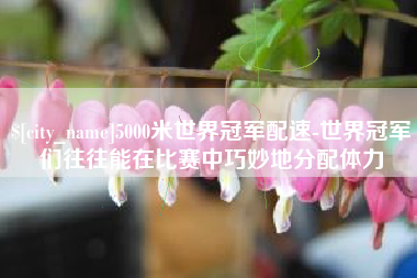 荆州5000米世界冠军配速-世界冠军们往往能在比赛中巧妙地分配体力