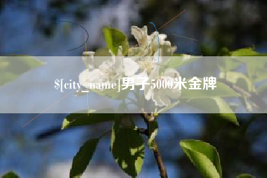 荆州男子5000米金牌