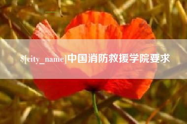 荆州中国消防救援学院要求