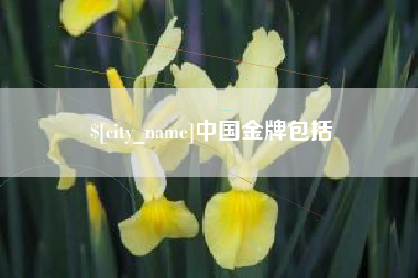 荆州中国金牌包括