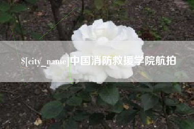 荆州中国消防救援学院航拍