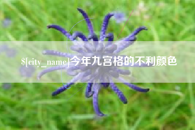 荆州今年九宫格的不利颜色