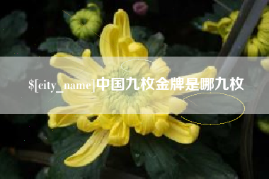 荆州中国九枚金牌是哪九枚