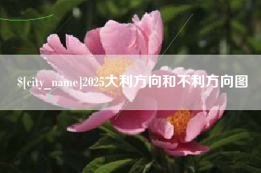 荆州2025大利方向和不利方向图