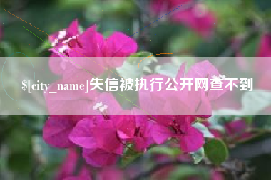 荆州失信被执行公开网查不到