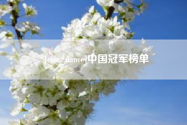 荆州中国冠军榜单