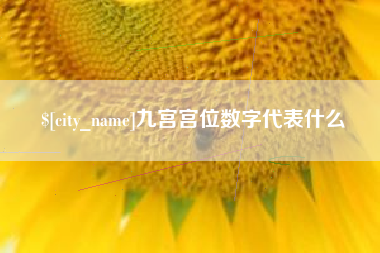 荆州九宫宫位数字代表什么