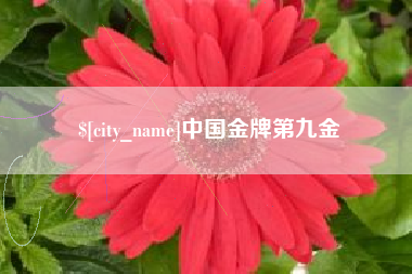 荆州中国金牌第九金