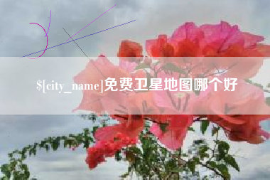 荆州免费卫星地图哪个好