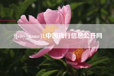 荆州1.中国执行信息公开网
