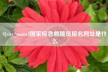 荆州国家应急救援员报名网址是什么
