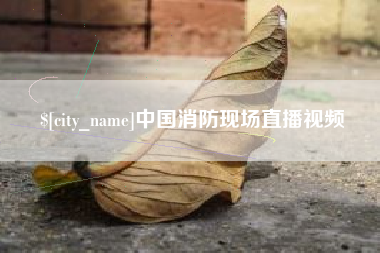 荆州中国消防现场直播视频