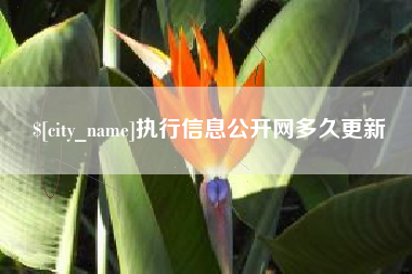 荆州执行信息公开网多久更新