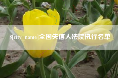 荆州全国失信人法院执行名单
