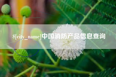 荆州中国消防产品信息查询