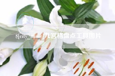 荆州九宫格盘点工具图片