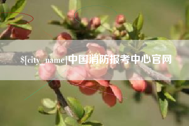 荆州中国消防报考中心官网