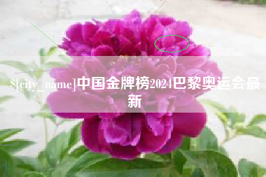荆州中国金牌榜2024巴黎奥运会最新