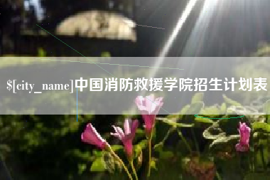 荆州中国消防救援学院招生计划表