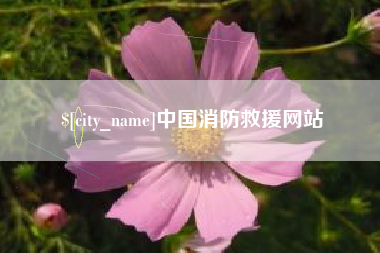 荆州中国消防救援网站