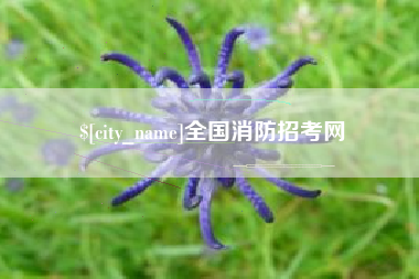 荆州全国消防招考网