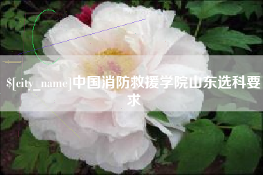 荆州中国消防救援学院山东选科要求