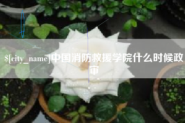 荆州中国消防救援学院什么时候政审