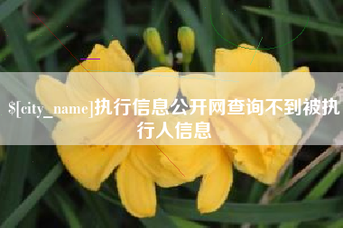 荆州执行信息公开网查询不到被执行人信息